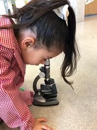 La mujer y la niña en la ciencia